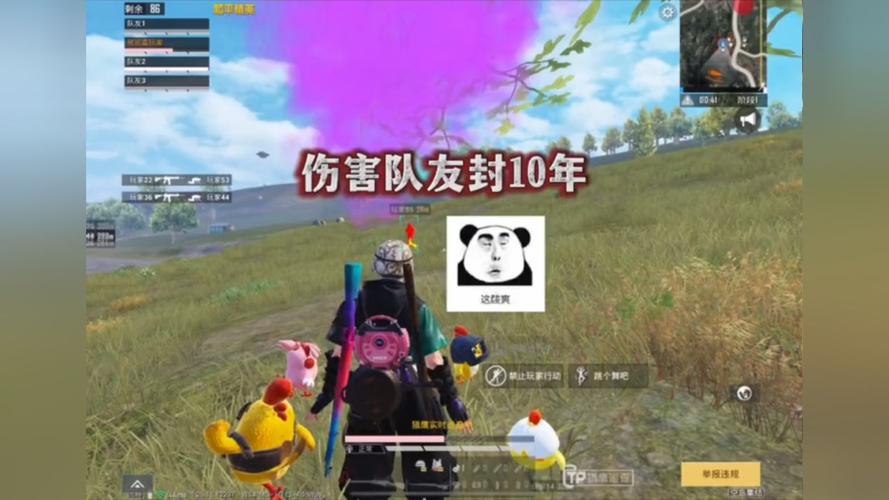 和平精英辅助【彩虹】