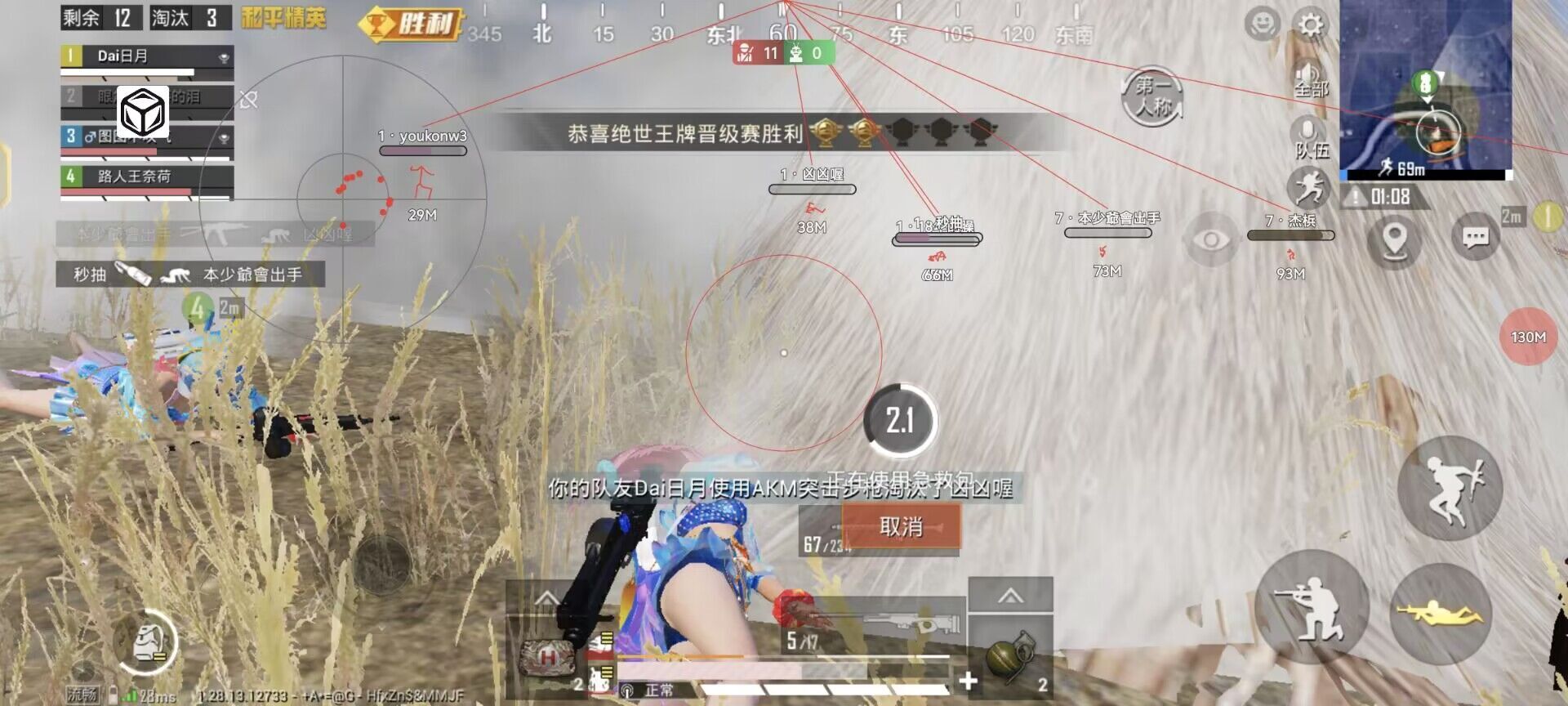 和平精英【EAD内部】辅助